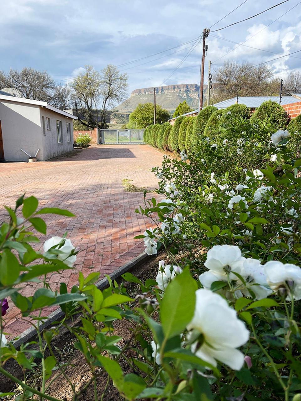 Village Lodge Harrismith Ngoại thất bức ảnh